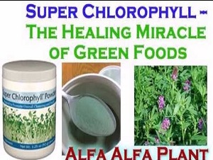 health benefits of chlorophyll