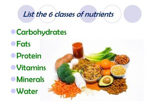 nutrients in food