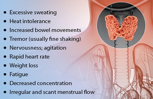 thyroid